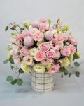 粉色系盆花Pink arrangements
